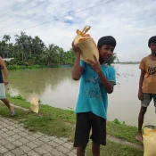 Nourish Today: Secure Tomorrow with Umeed